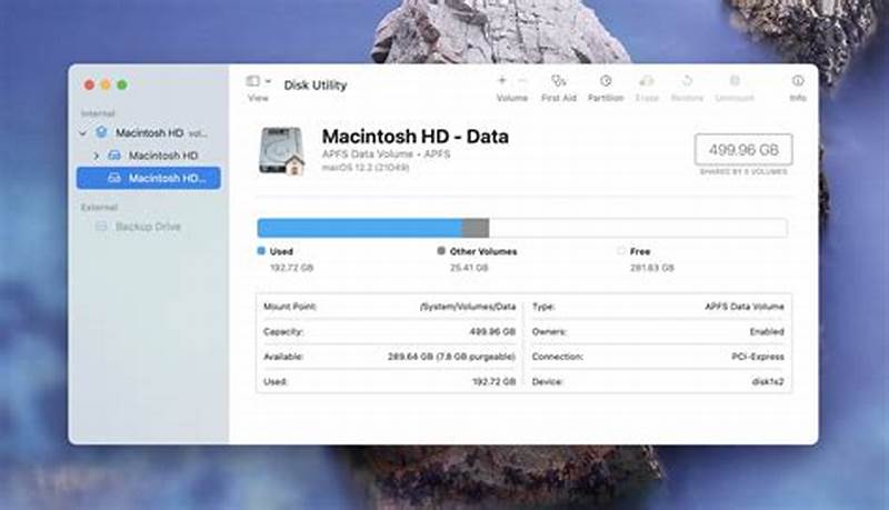 Mac Disk Utility First Aid Checking Catalog File