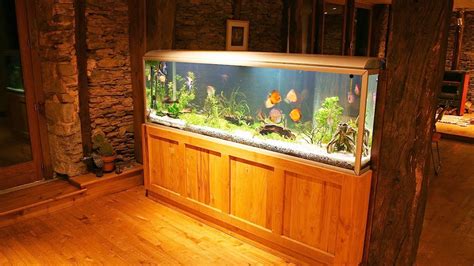 Maintaining your Large Fish Tank