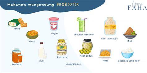 Makanan Probiotik