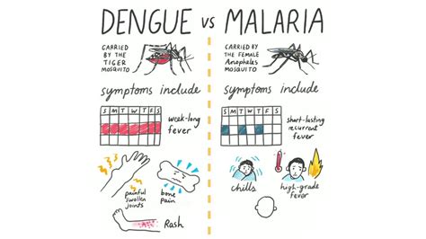 Malaria vs