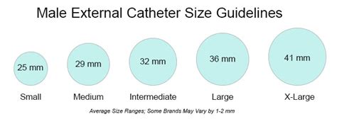 Male Catheter Size Chart