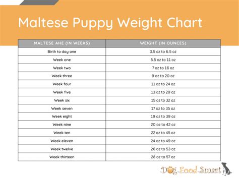 Maltese Dog Weight Chart