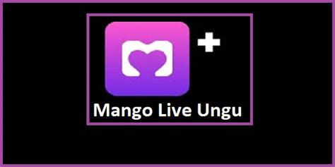 Mango Live Ungu