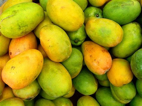 Mango as a Symbol of Exoticism and Adventure