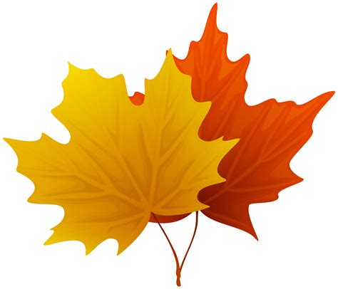 Maple Leaf ClipArt