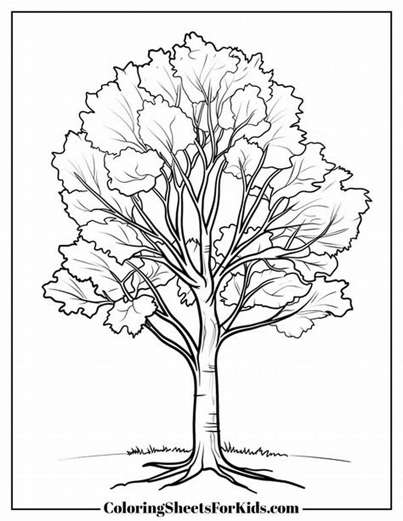 Maple Tree Coloring