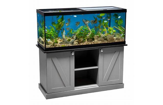 Marineland fish tank