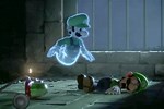 Mario Luigi Death
