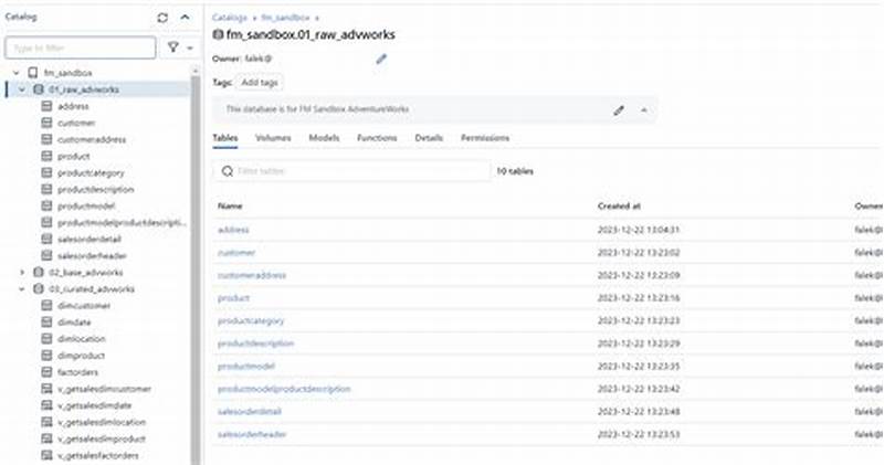 Masing Function In Databricks Unity Catalog