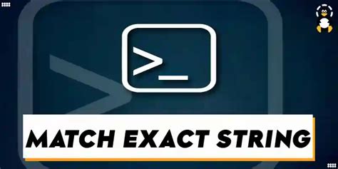 Match exact string