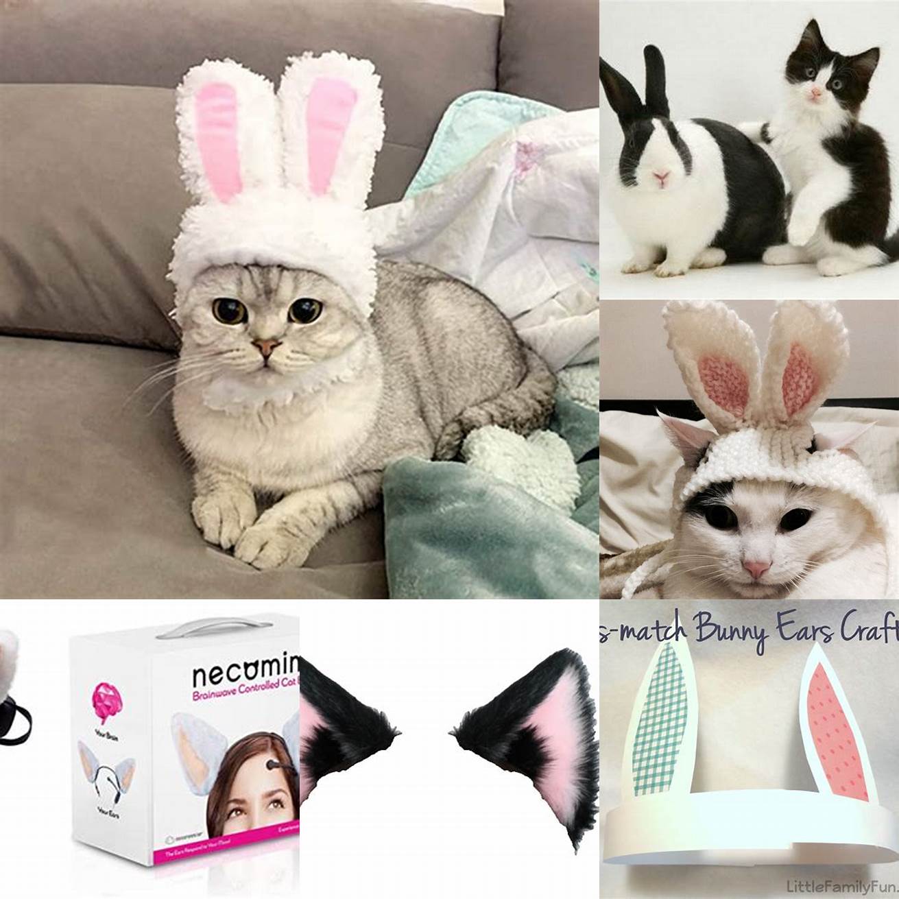 Matching bunny ears for you and your cat