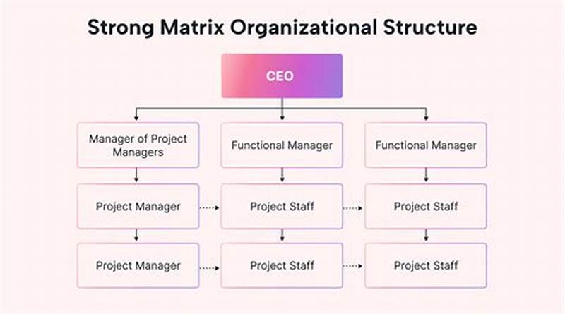 Matrix Organization Structure Chart