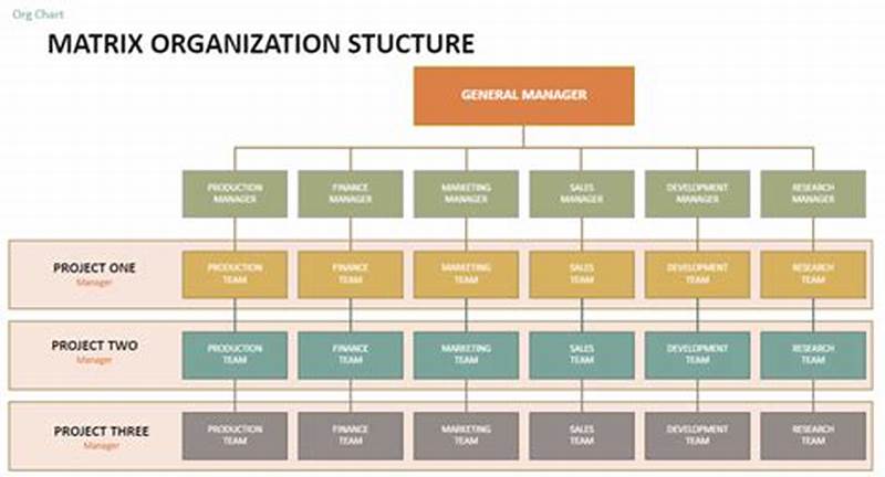Matrix Structure Organization Chart