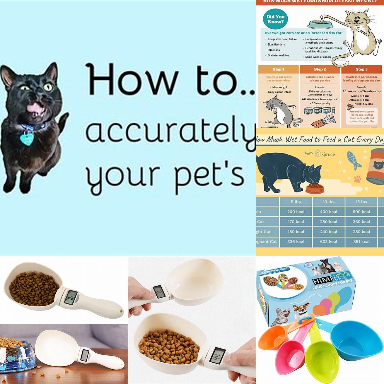 Measure Your Cats Food