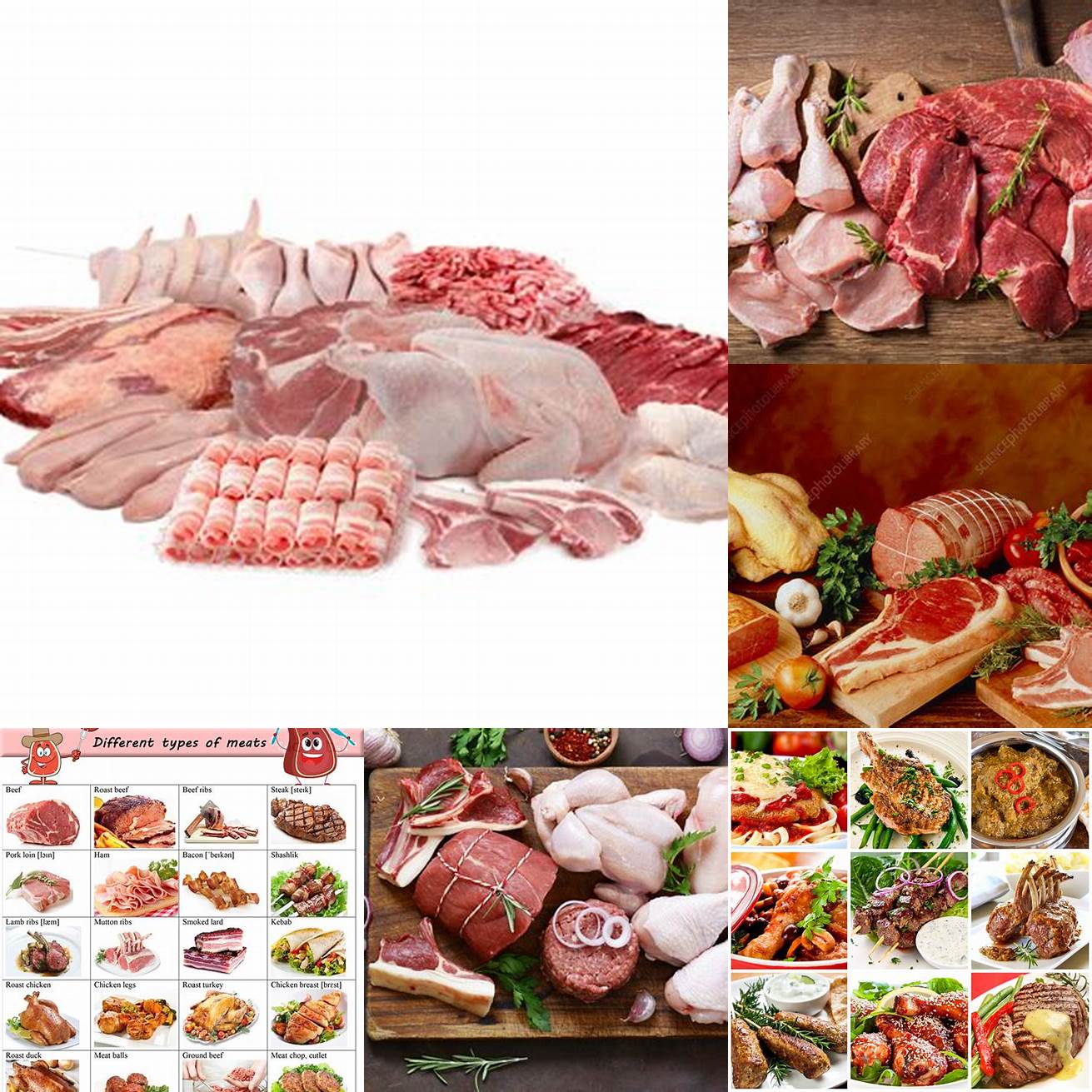 Meat Beef pork and chicken are the most commonly used meats in American cooking Meat is often grilled roasted or fried