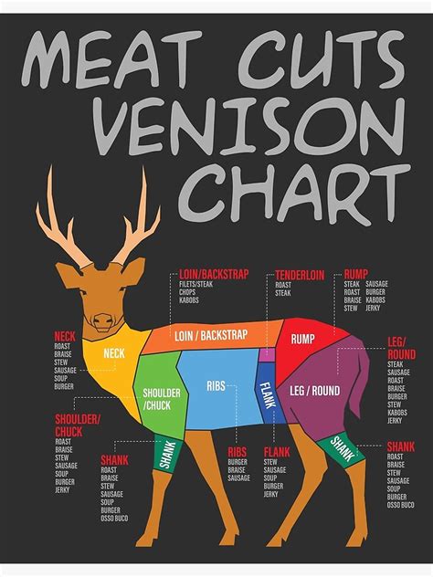 Meat Cutting Chart For Deer