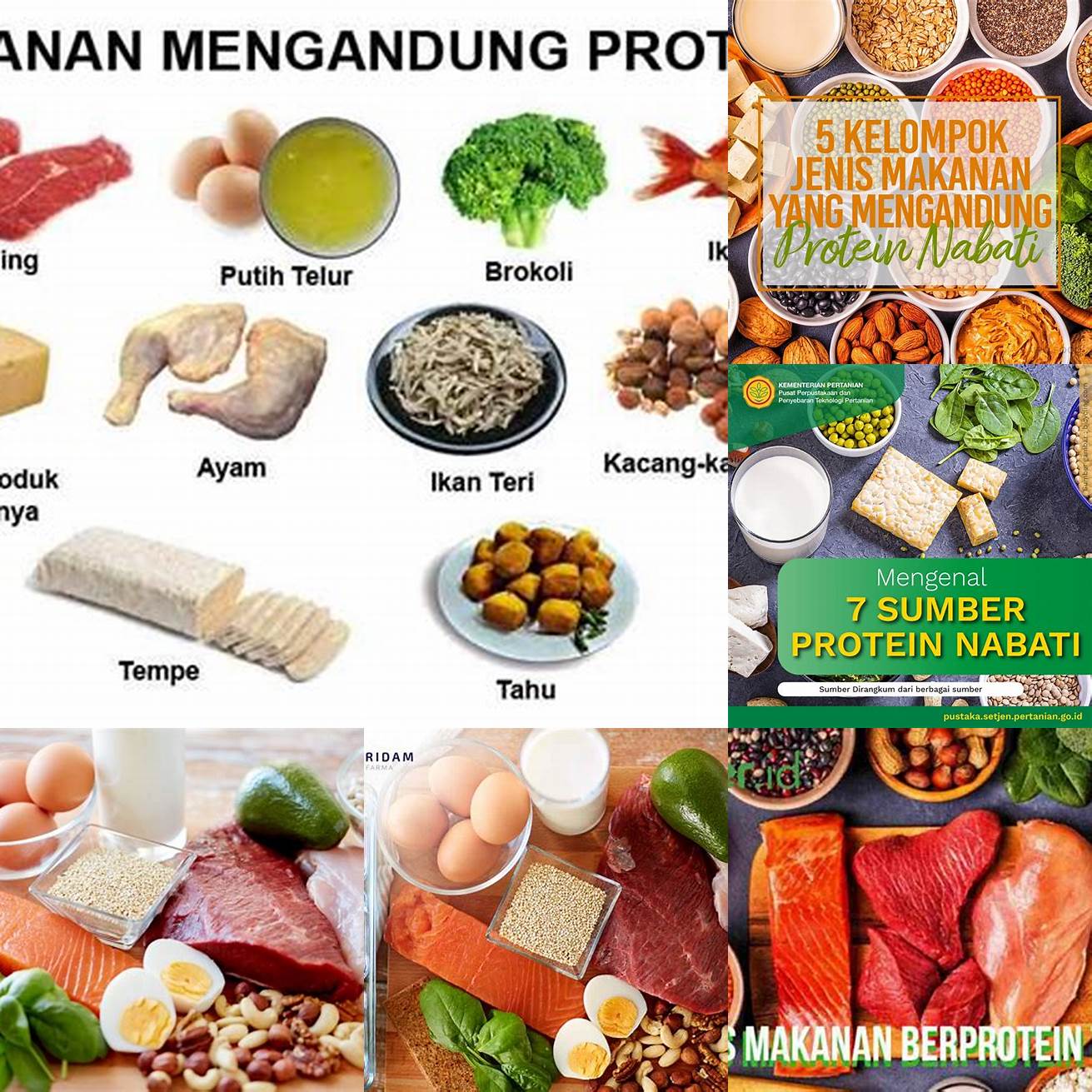 Memberikan Makanan yang Mengandung Protein