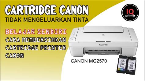 Membersihkan Absorber Tinta Canon MG2570