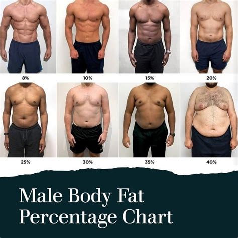Men's Body Fat Percentage Chart