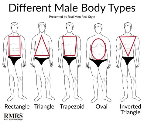 Men Body Types Chart