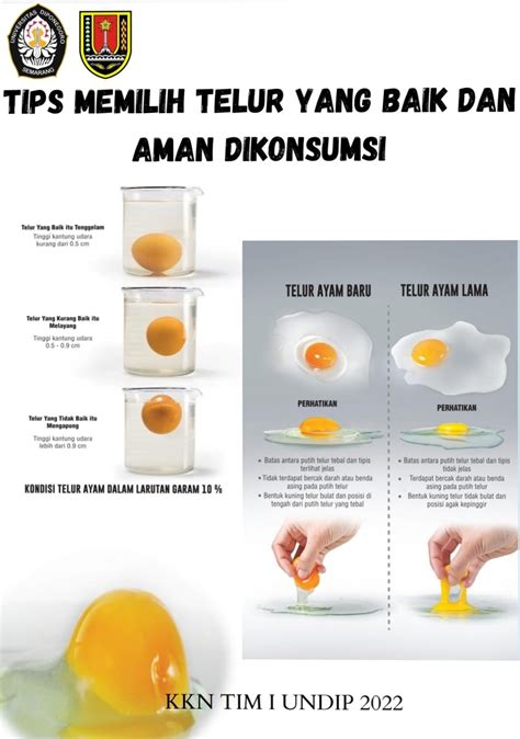 Meningkatkan kualitas sel telur