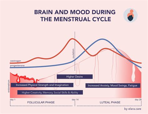 Menstrual Cycle And Mood Chart