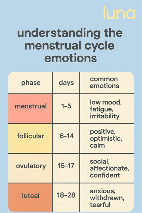 Menstrual Cycle Phases Chart Mood