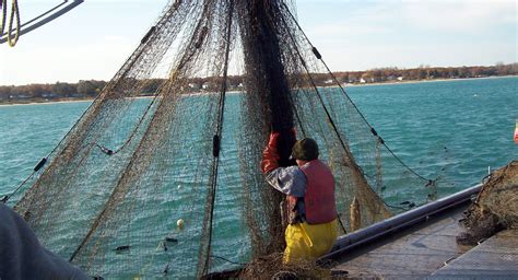 Michigan Fishing Industry