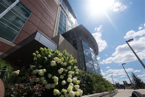 Michigan State Career Services