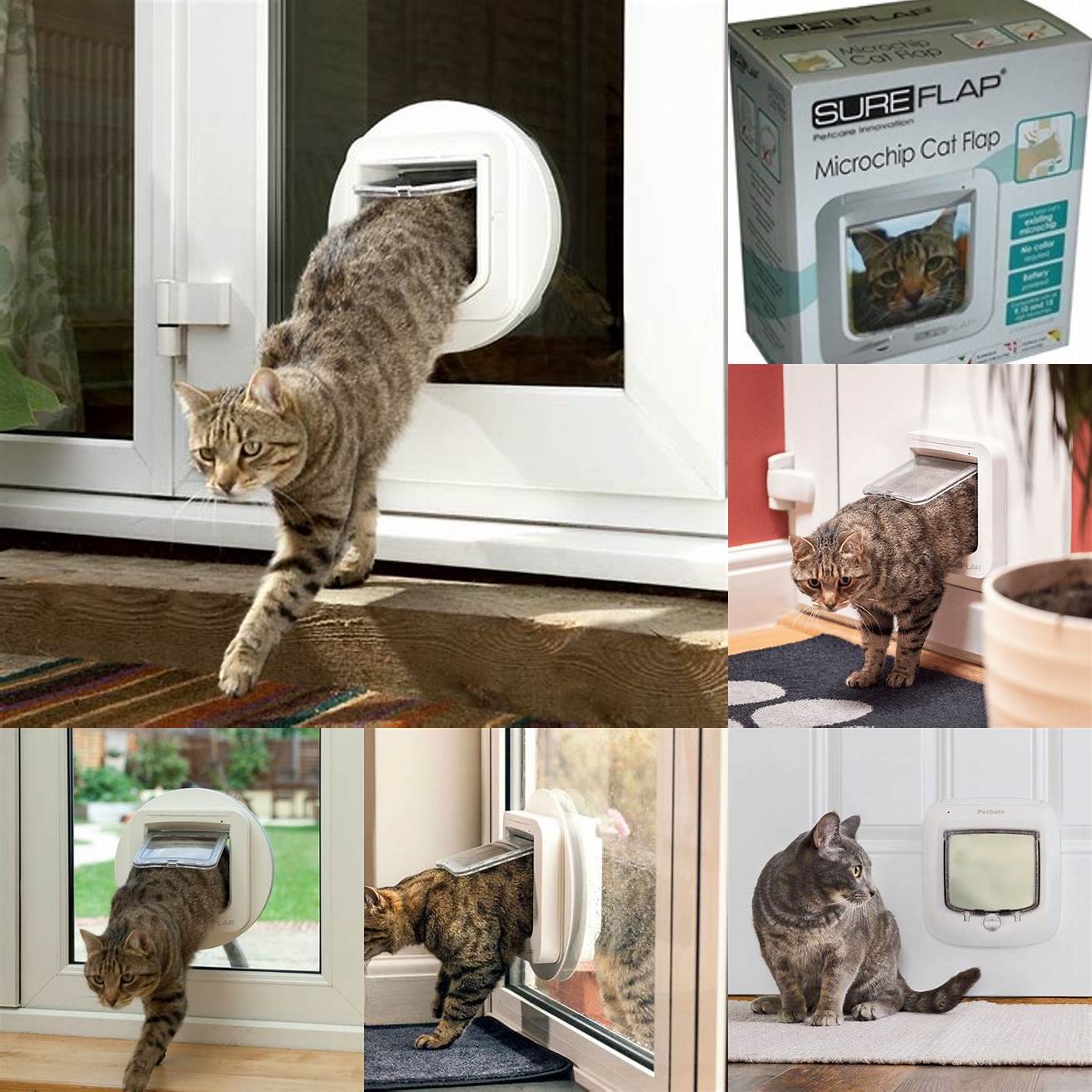 Microchip Cat Doors