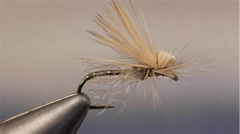 Missing Link Fly Pattern