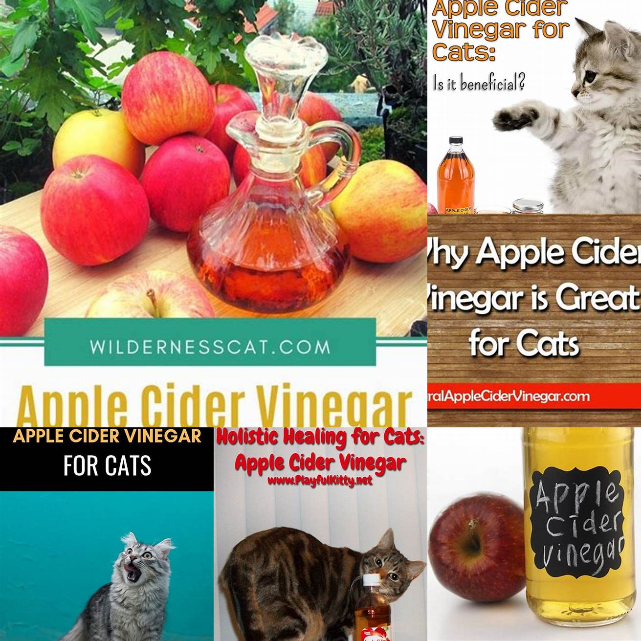 Mix apple cider vinegar with distilled water