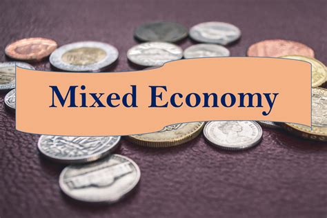 Mixed Economy