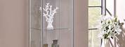 Modern Contemporary Glass Curio Cabinet