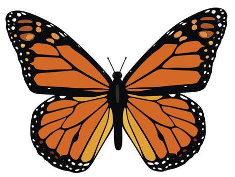 Monarch Butterfly Template Printable