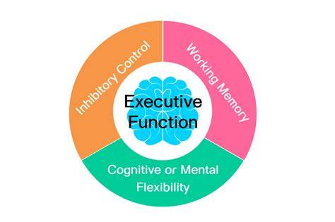 Mongoose - What does the exec function do