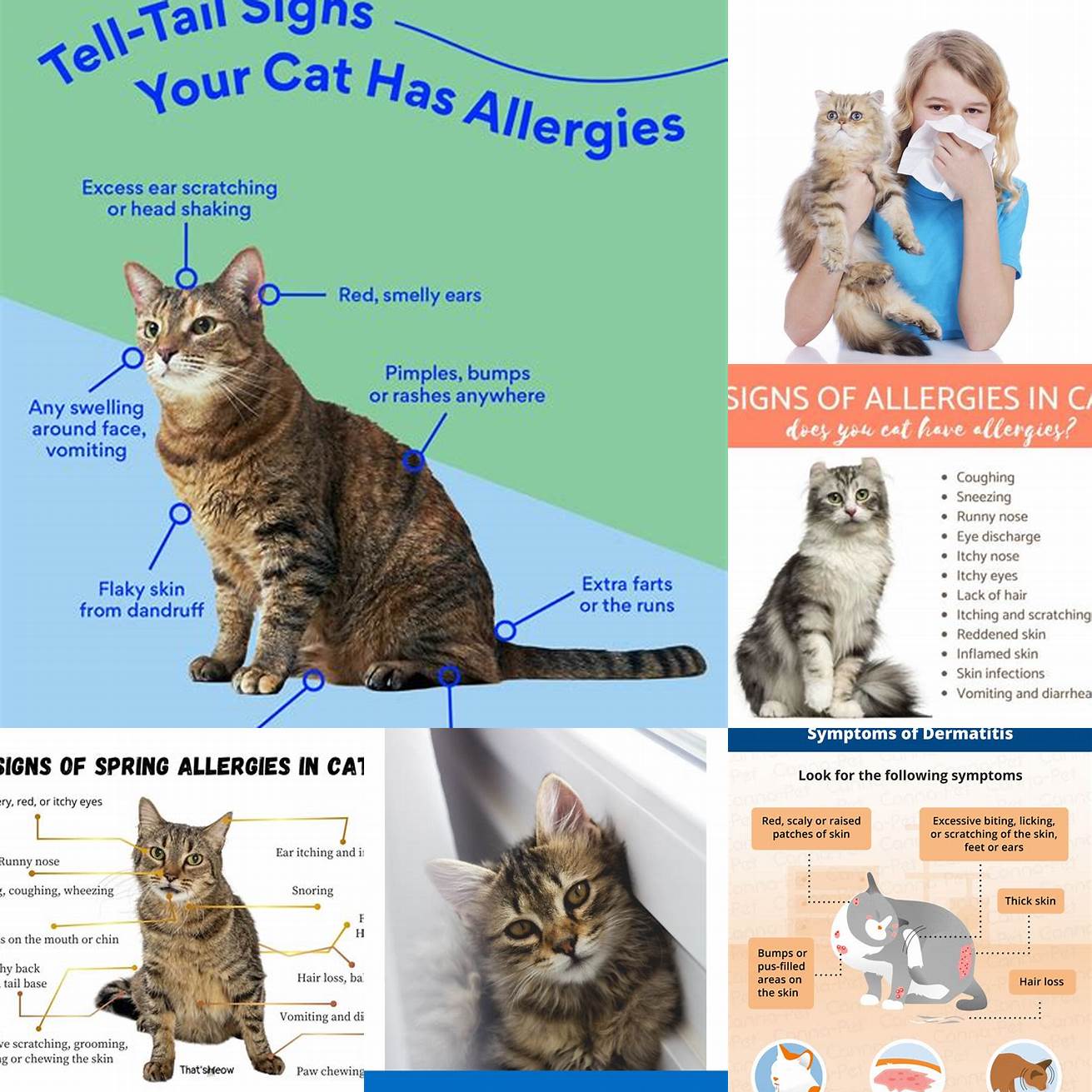 Monitor your cat for any signs of allergic reaction such as swelling hives or difficulty breathing