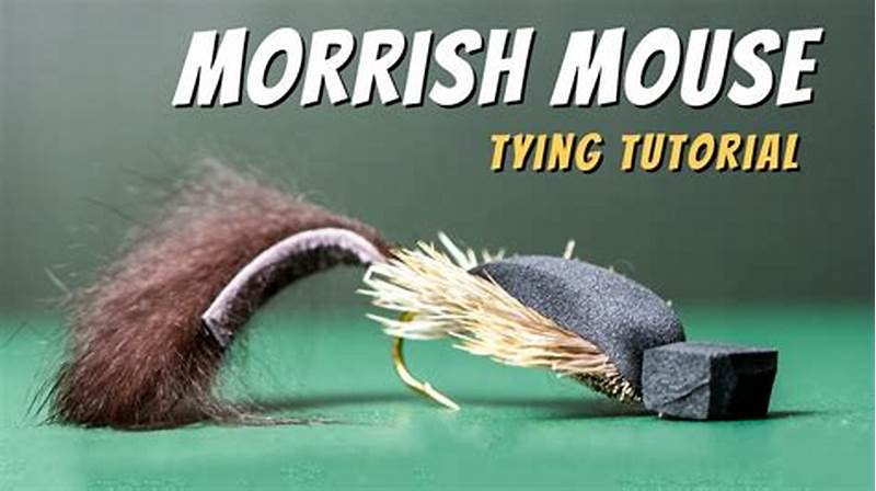 Morrish Mouse Fly Pattern