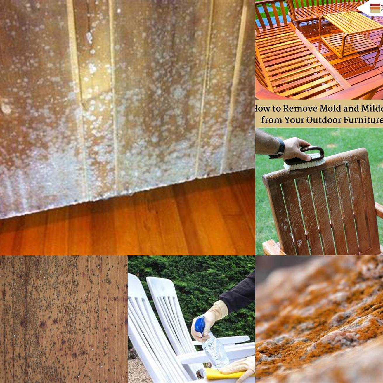 Mould spores on teak outdoor furniture