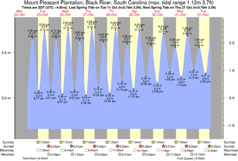 Mt Pleasant Tide Chart
