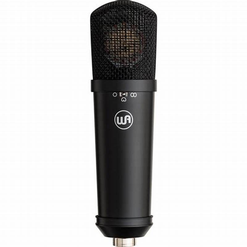 Multi Pattern Condenser Mic