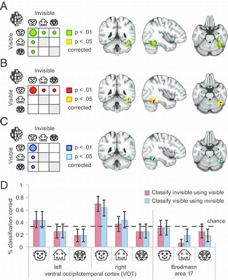 Multivoxel Pattern Analysis