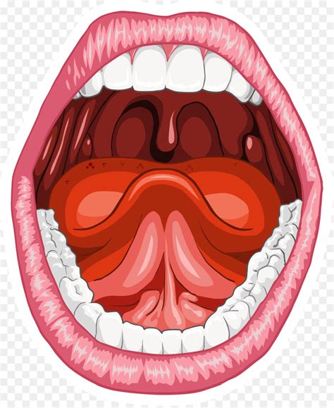 Mulut manusia
