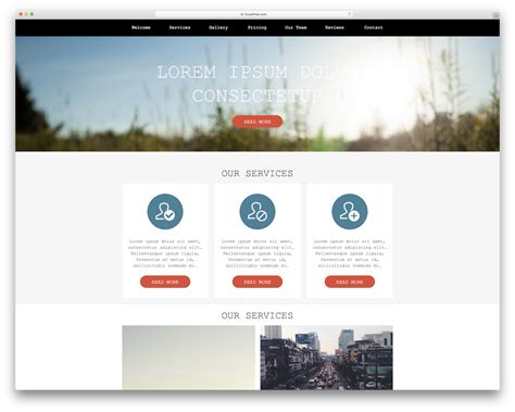 Muse Web Templates