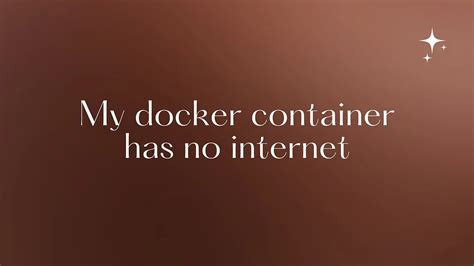 My docker container has no internet
