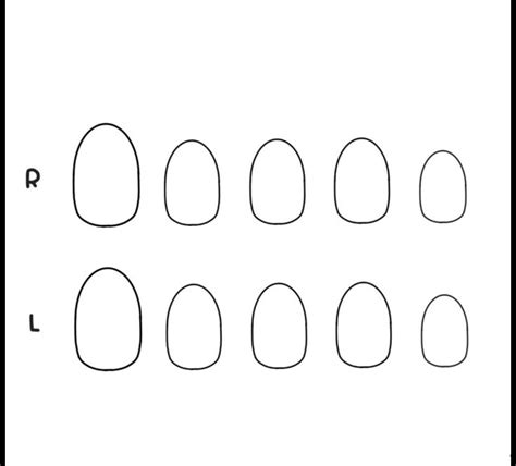 Nail Design Template Almond