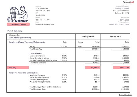 Nanny Pay Stub Template