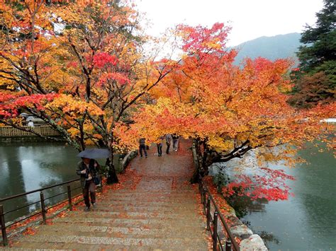 Nara musim gugur
