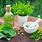 Natural Herb Remedies