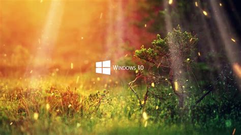 Nature Live Wallpaper for Windows 10